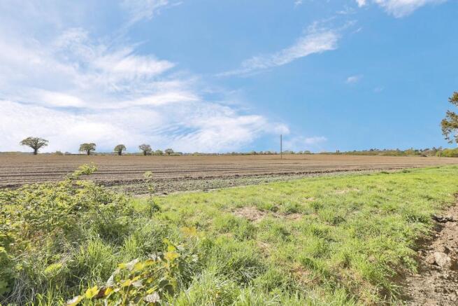 Field View