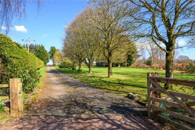 Driveway