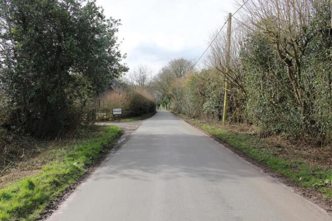 Country Lane.JPG