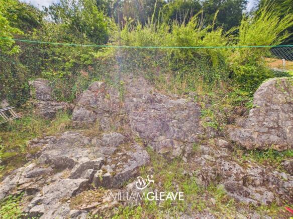Picture 19