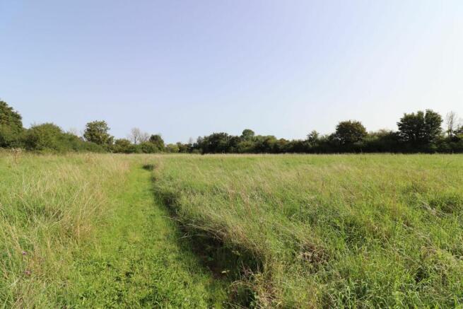 Field