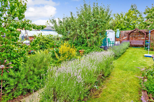 Garden 1