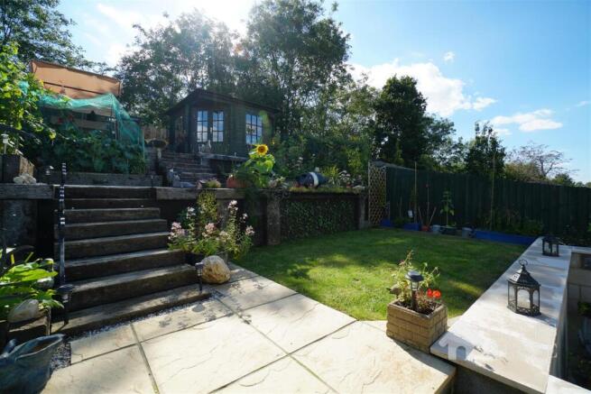 Back garden