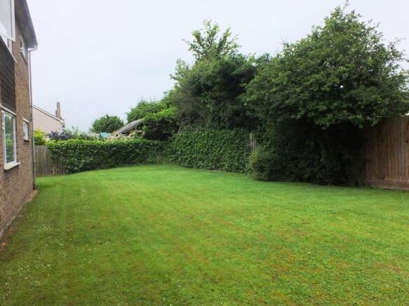 Garden 2.JPG