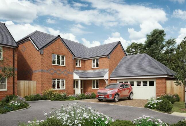 Plot 11