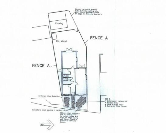 Photo 31
