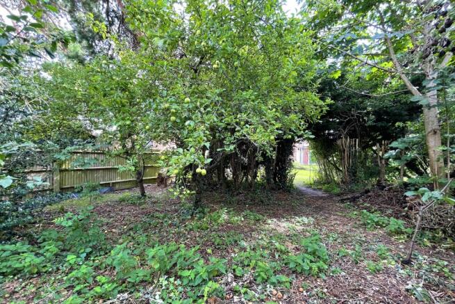 Garden Orchard