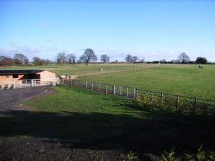 View to rear
