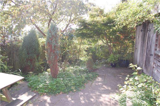 Patio Area