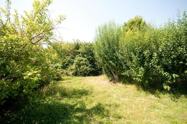 Land At Rear