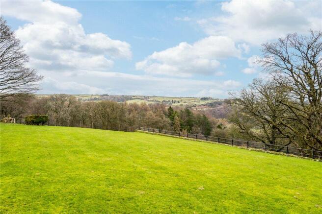 Superb Surroundings