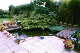 Side Garden
