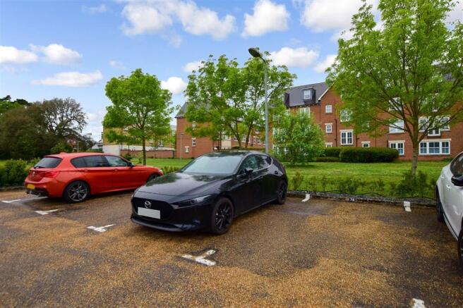 Driveway/Parking