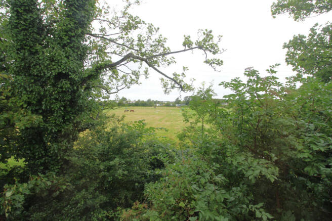 Photo 30