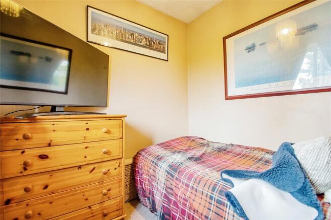 Picture 11