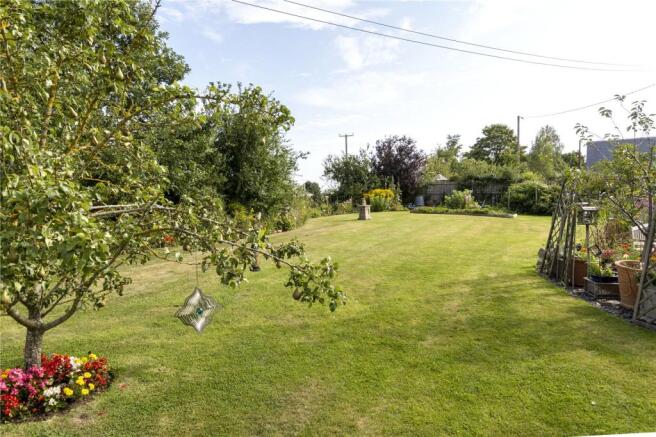 Back Garden