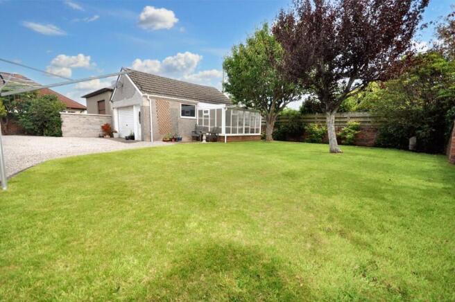 Back Garden