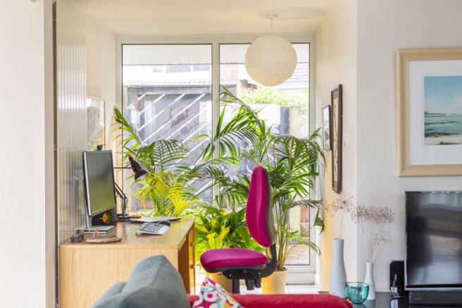 Study Area 