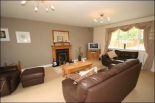 Lounge Photo 2