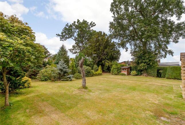 Mature Garden