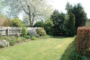 Garden Shot 2