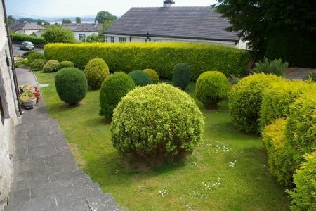 Photo 19