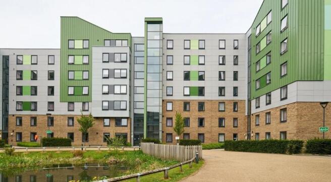 1 bed Flat Share to rent Image 10