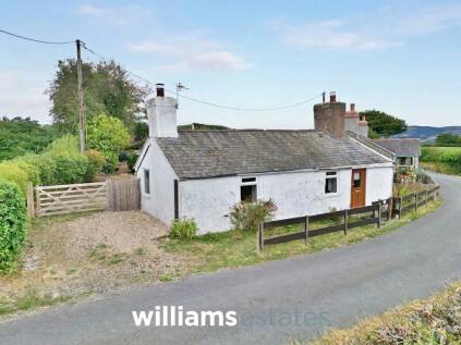 Llanrhaeadr, Denbigh, LL16