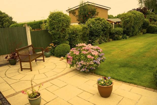 Photo 8