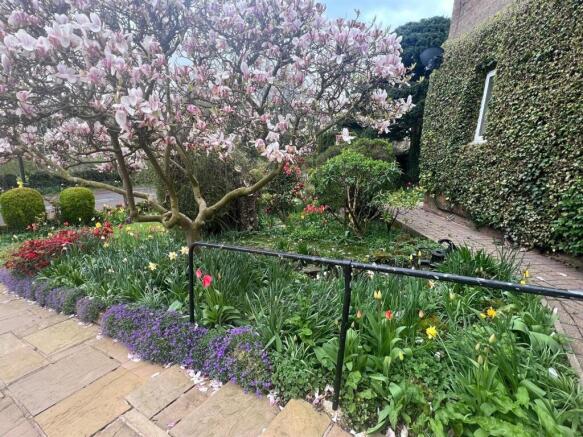 Front Garden