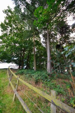 Included woodland