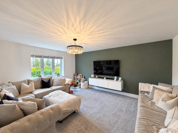 Contemporary Olive-Green Family Living Room.png