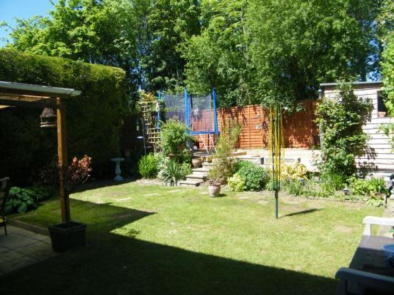 Photo 5