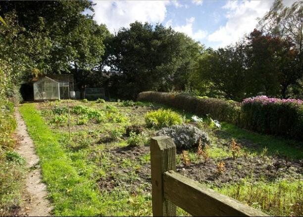 Kitchen Garden