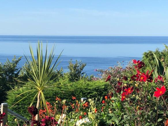View from the garden