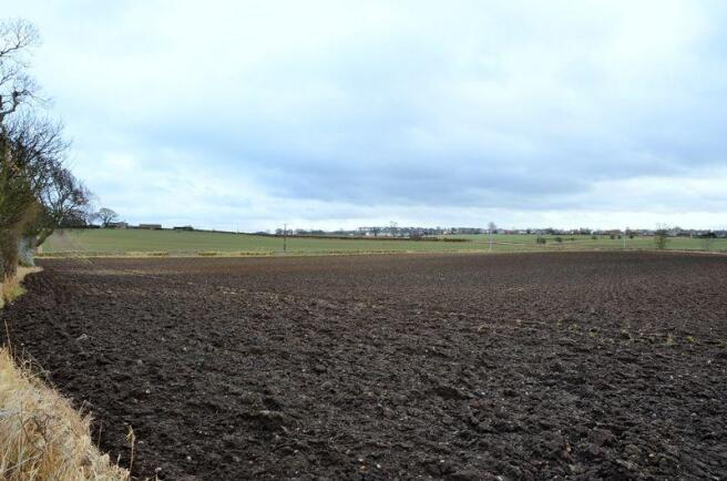 Fields Opposite