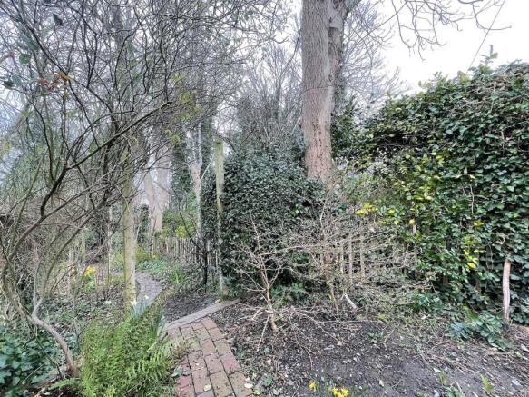 Garden (3).jpeg