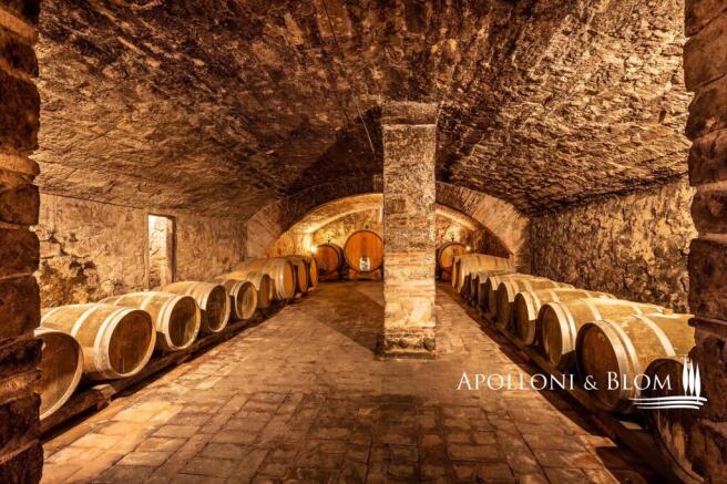FIR2143 - Ancient Hamlet in the Chianti hills, Greve in Chianti-28