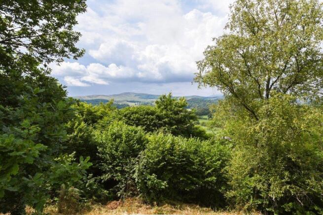 View From Garden