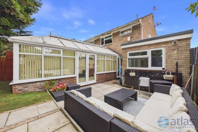 Back Garden