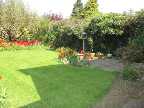 Photo 11