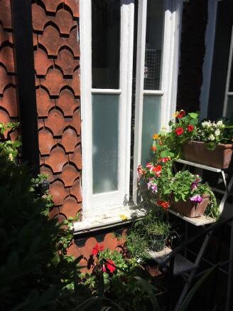 window.jpg