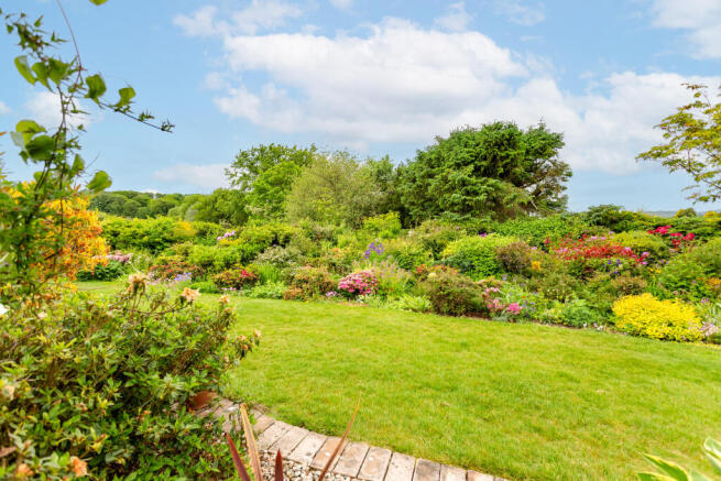 Rear Gardens