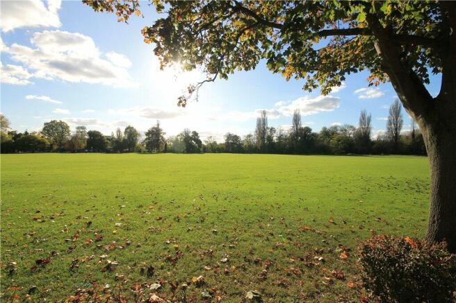 Park