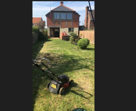 back garden.jpg