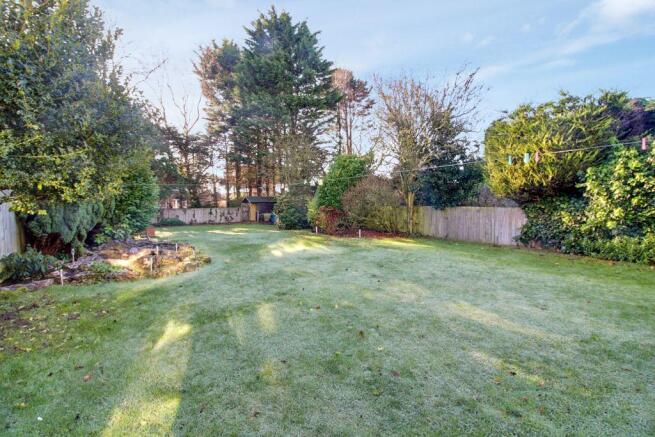 Garden at Back