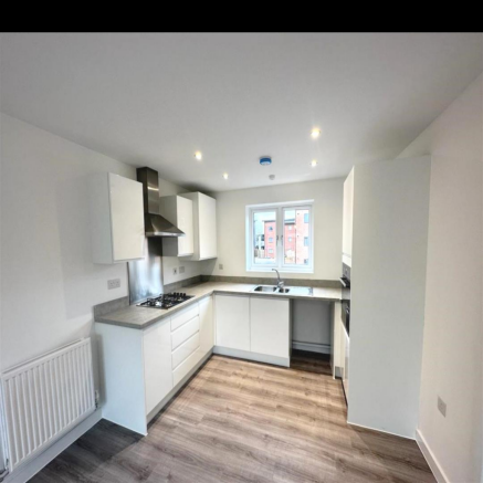 77 Newman Kitchen .png