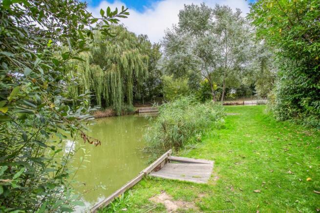 Pond