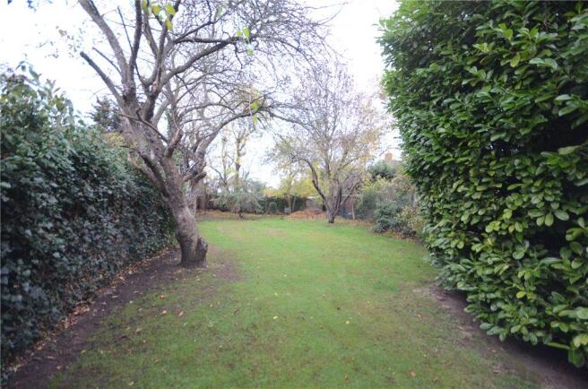 Garden 1