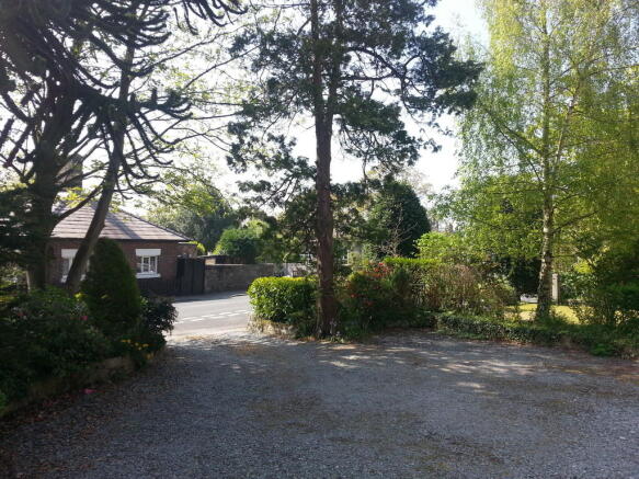 Photo 19